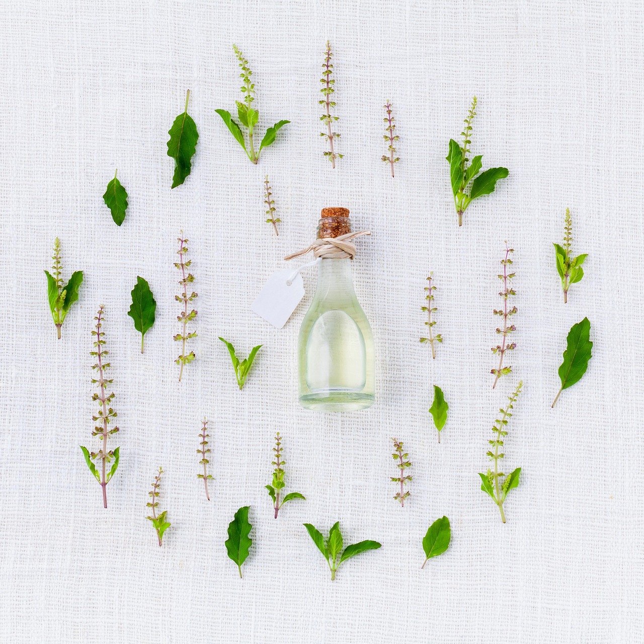Black Pepper Essential Oil FAQ: Quick Answers to Common Questions