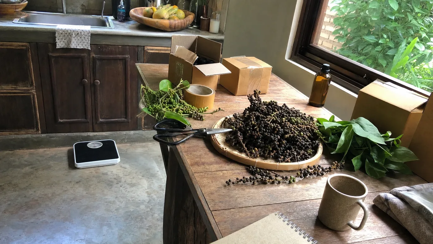 Can Black Pepper Essential Oil Help You Lose Weight?