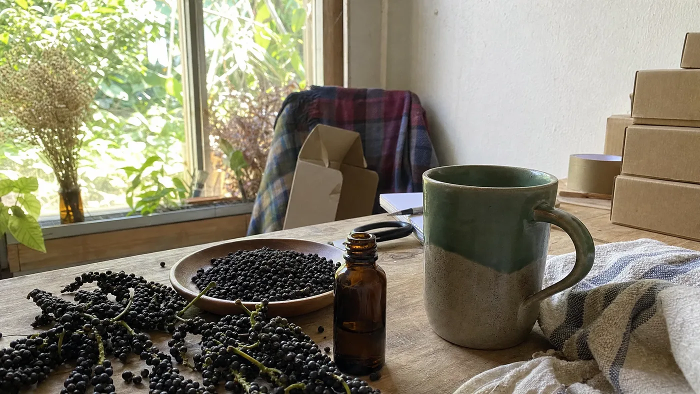 Does Black Pepper Essential Oil Improve Circulation? Separating Sensation from Evidence