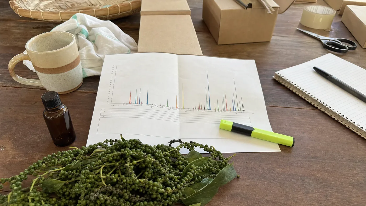 How to Read a Black Pepper Oil GC-MS Report