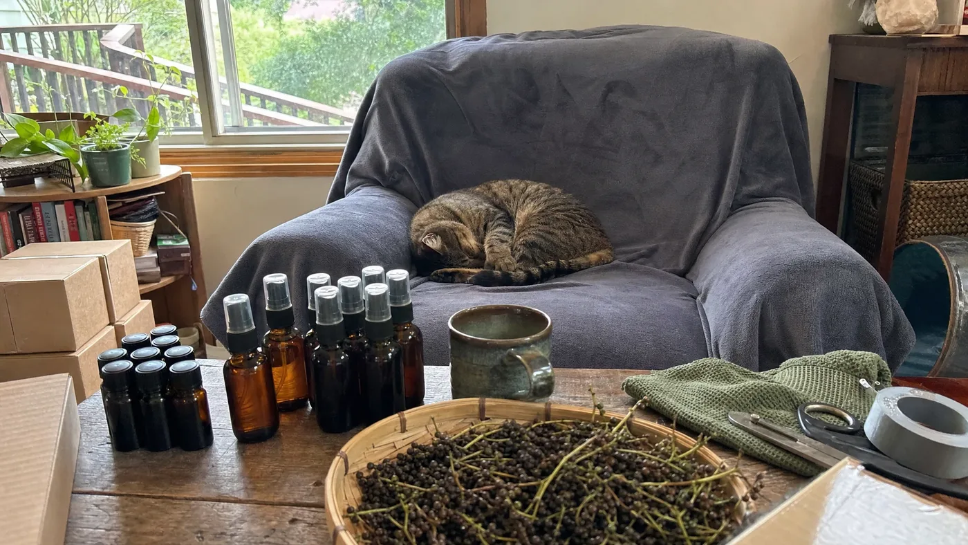 Is Black Pepper Essential Oil Safe for Dogs and Cats?